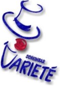Logo Scheinbar